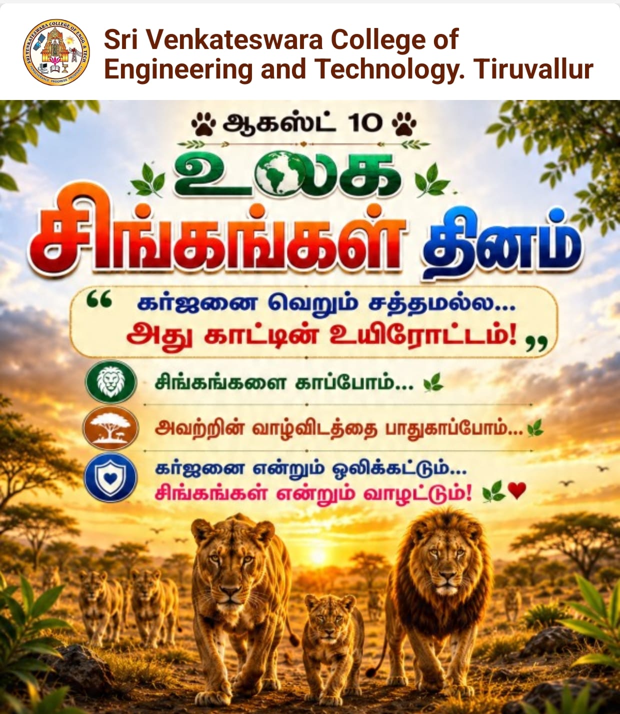 Programme Image 1