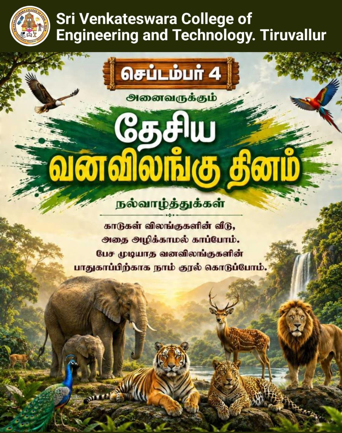 Programme Image 1